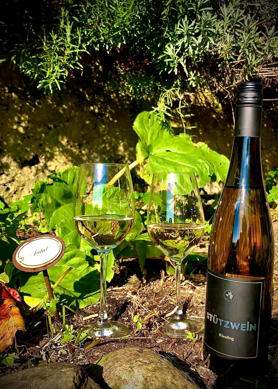 Stützwein Flasche im Weinberg